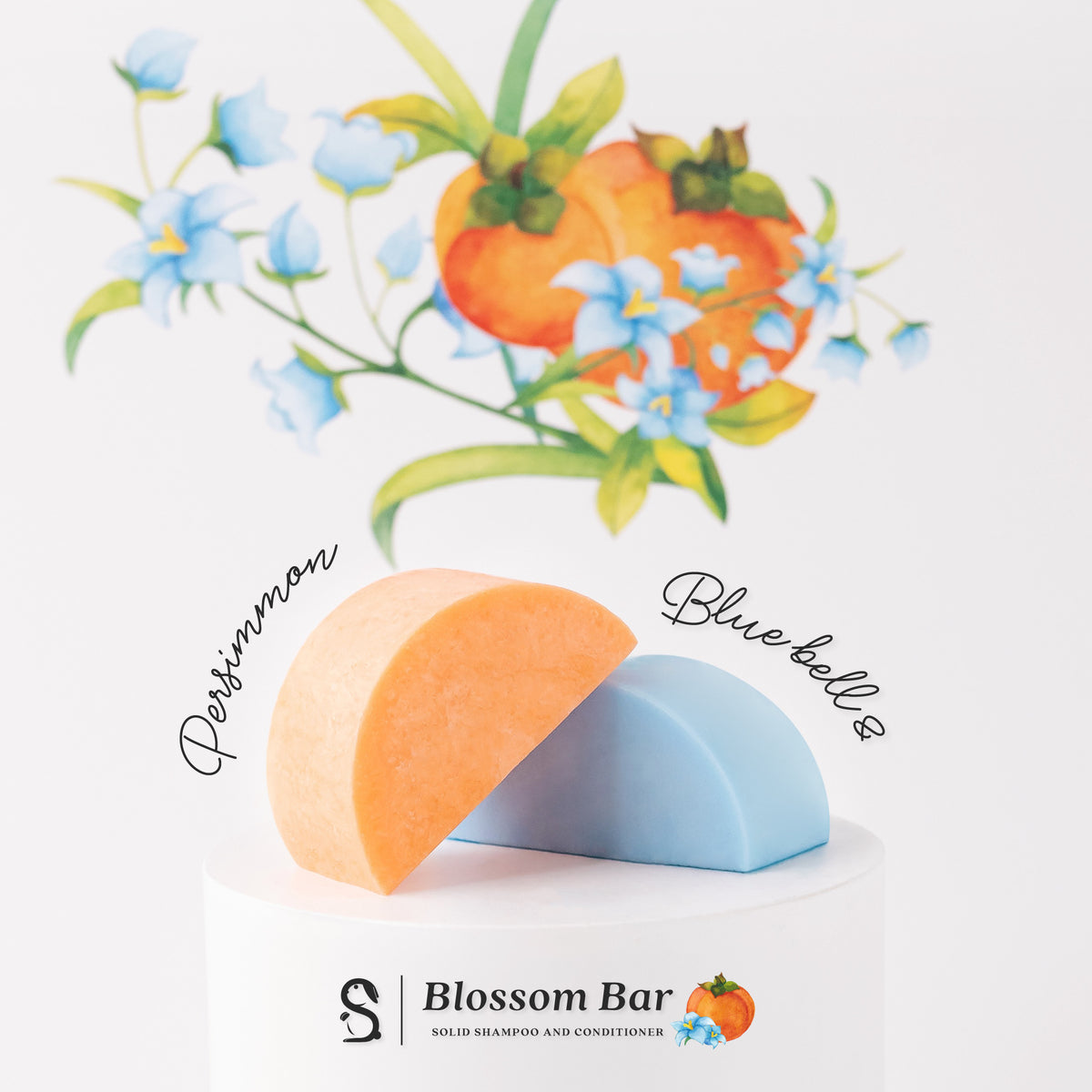 BlueBell & Persimmon