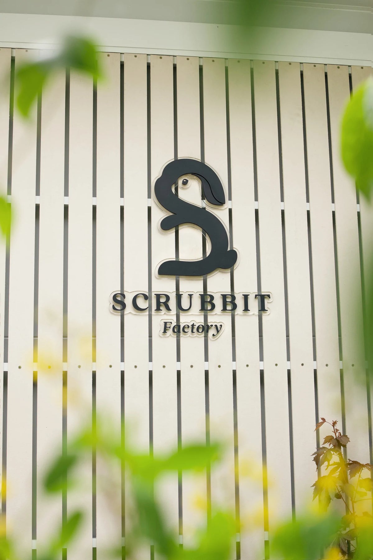 5 Commitments of Scrubbit